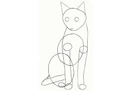 Видео how to draw a basic cat sitting канала art ala carte. How To Draw A Cat Front View Sitting Front View And Side View
