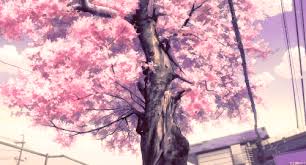 A anime yaoi seiyuu english i am starting make gif now and i like it so much. Pin On Awesome Stuff