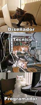 Gatitos E Informatica Outlook Email Online Apps Microsoft