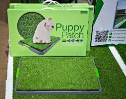 ↓ open me for all the things! Potty Train A Puppy New Owners Guide