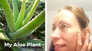 5 Benefits Of Using Aloe Vera On Your Face Overnight Use it daily, keep on thoroughly cleansed face for 15 minutes and rinse off.