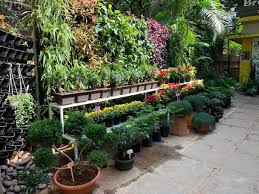 Roots And Shoots A Botanical Studio in Dharwad Saptapur,Dharwad - Best  Plant Nurseries near me in Dharwad - Justdial