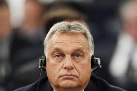 He is a director and actor, known for kormányinfó (2015), kopaszkutya kettö (2011) and. Orban Faces Backlash After Attack On Juncker Politico