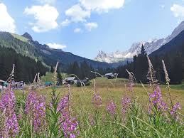 Made up of seven communes or municipal governments (moena, soraga, vigo di fassa, pozza di fassa, mazzin, campitello di fassa, and canazei), it is traversed. Hd Wallpaper Italy Pozza Di Fassa Landscape Dolomiti Hut Flowers Trentino Wallpaper Flare