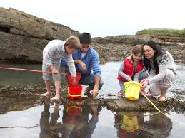 Tidepooling Travel Channel