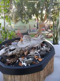 New Horizons Preschool Blog Small World Play Australian Animals Small World