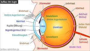 Nicht jedem wird es möglich sein rechtzeitig eine geeignete sonnenfinsternisbrille zu besorgen. Sonnenfinsternis Brille Wichtig
