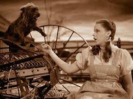 Cairn Terrier Famous Dogs Wizard Of Oz Wizard Of Oz Movie