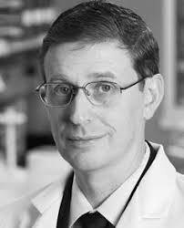 No 2 IN sId e B eh AVIo r A NA lys Is