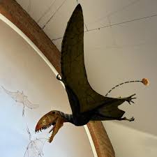 Image result for Arthropteris anniana