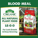 Espoma 3 lbs. Organic All-Purpose Organic Blood Meal 12-0-0 Dry ...