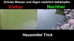 Pin Auf Haus Garten Ideen Tipps Tricks Anleitungen Diy