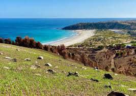 Learn about kangaroo island using the expedia travel guide resource! Kangaroo Island Recovering Not Ravaged Indaily
