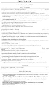 customer service technical support