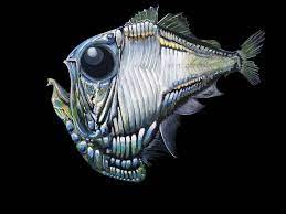 Deep Sea Hatchet Fish Cool Sea Creatures Sea Creatures Drawing Deep Sea