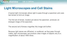 The cellular basis of life is the element carbon. Lesson Overview 7 1 Life Is Cellular Ppt Download