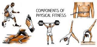 Answer these fun questions about your likes and personality to find out how much you know about crossfit. Components Of Physical Fitness Quiz Trivia Proprofs Quiz