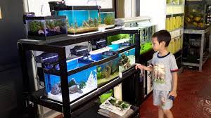 Hailea aquarium chillers » essential for marine aquariums, restaurant display units, supermarket fish displays and for high value fish. Xian Long Aquatic