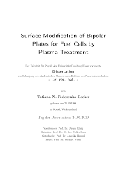 Https Duepublico2 Uni Due De Servlets Mcrfilenodeservlet Duepublico Derivate 00047047 Diss Fedosenko Pdf