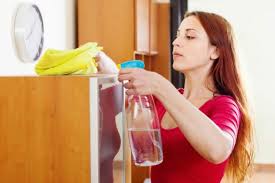 Slikovni rezultat za brisanje praÅ¡ine slike