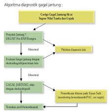 Check spelling or type a new query. Gagal Jantung Heart Failure Informasi Kedokteran Dan Kesehatan