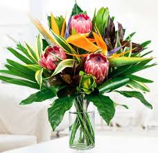 Flowers to sow in january. Protea Paradise Tropical Flower Arrangements Next Day Flowers Tropical Artificial Flowers