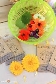Plant An All Season Edible Flower Garden Garden Therapy In 2021 Edible Flower Garden Edible Flowers Edible Garden