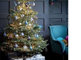 Vuoi Un Albero Di Natale Vero Ecco Le 9 Regole Da Seguire Corriere It