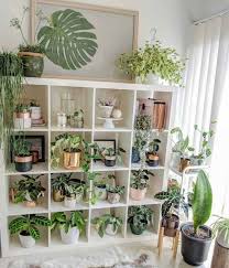 Anda dapat memilih tanaman daun atau tanaman berbunga untuk ditaruh di dalam ruangan. 10 Inspirasi Penempatan Tanaman Di Dalam Rumah Bikin Makin Sejuk