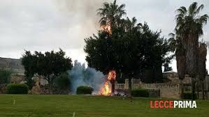 We did not find results for: Maltempo In Citta Fulmini Grandine E Un Albero Prende Fuoco
