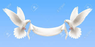 Horizontal Composition With Two White Flying Doves On Blue Background Holding Empty White Banner In Its Beak As Symbol Of Dove Images White Pigeon Pigeon Logo
