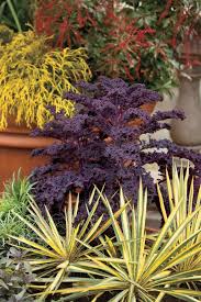 Each material has its own characteristics and will need to be treated slightly different. How To Make Winter Garden Planters The Garden Glove