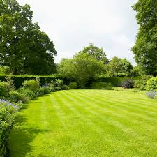 Mow your yard in time for spring. Tips For Growing A Green Lawn