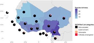 Image result for Vittaria guineensis