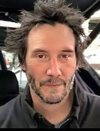 People often tell me how amazing I look with my four incredible dogs — like  I've got it all together. And while I'm grateful for the love and  admiration, there's a part