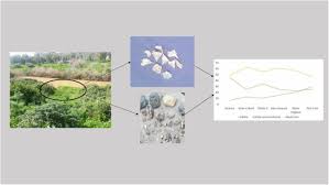 But if you're living in the united states, the climate of southern california and arizona lend themselves especially well through growing and cultivation of cactus. Paleomedicine And The Evolutionary Context Of Medicinal Plant Use Springerlink