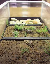 This simple enclosure can be made with minimum technical skills. Tortoise Trust Web Building A Tortoise Table