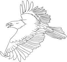 Color online with this game to color animals coloring pages and you will be able to share and to create your own gallery online. Fly Eagle Coloring Page Free Printable Coloring Pages For Kids