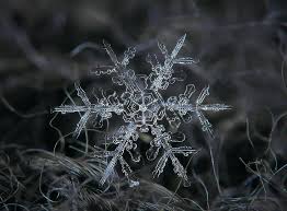 Tons of awesome snowflake wallpapers to download for free. Hd Wallpaper Amazing Real Snowflake Macro Seasons Winter Blue Dark Nature Wallpaper Flare
