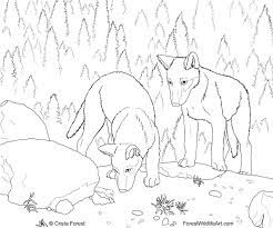 Elegant and vicious, a wolf is one of the most formidable creatures in the animal kingdom. Forest Wildlife Art Wolf Pups Coloring Book Page Puppy Coloring Pages Animal Coloring Pages Horse Coloring Pages