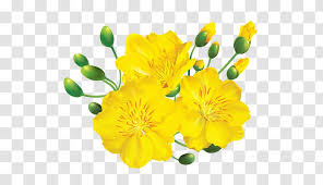 Sep 09, 2021 · was i born in a year of the rat? Drawing Image Lunar New Year Plum Blossom Art Flowering Plant Transparent Png