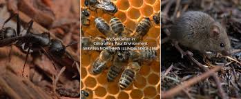 They provide both residential and commercial clients in rockford, il with the right pest control solutions required, at the most competitive prices. Rocky S Pest Control Roscoe Rockford Loves Park Il Exterminator Pest Control Services