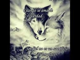 Pin En Frases
