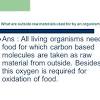 The raw materials required by an organism can be quite varied depending on the complexity of the. Https Encrypted Tbn0 Gstatic Com Images Q Tbn And9gcr8gywfbex Boz6gdtlavsx6lbng1lwqhcoxmjuy1tmnm1h6cjb Usqp Cau