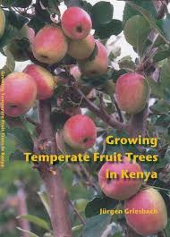 We did not find results for: Nemaguard Peach Tree Seeds Fast Hardy Edible Prunus Persica Nemaguard Fruit Seeds Home Garden