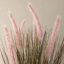 Artificial Foxtail Grass In Grey Pot 49cm Foxtail Grass Pink Grass Grass Centerpiece