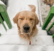 WCHS Eyewitness News