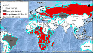 Asf is not the same disease as swine influenza. African Swine Fever A Global View Of The Current Challenge Porcine Health Management Full Text