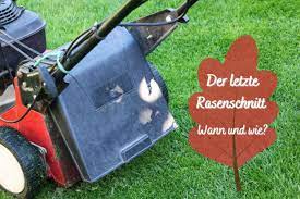 Nicht nur rasenmähen bei hitze in der prallen mittagssonne ist schädlich. Letzter Rasenschnitt Vor Dem Winter Wann Rasen Mahen Gartenlexikon De