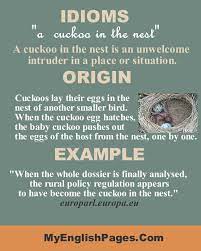A Cuckoo In The Nest Idiom Idioms Descriptive Words Cuckoo
